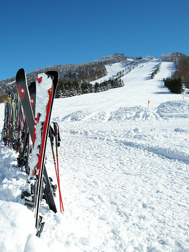 Thuê xe riêng đi trượt tuyết Shiga Kogen