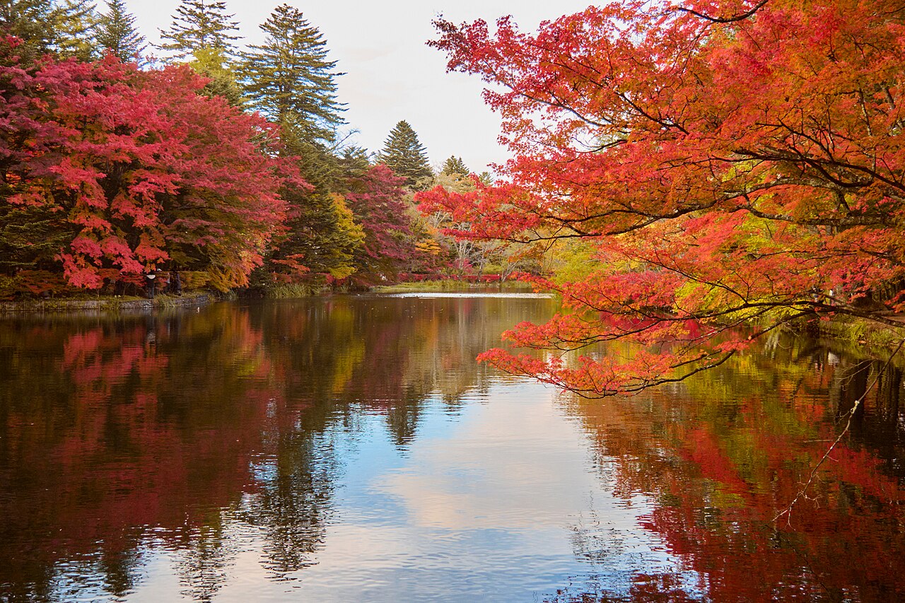 Thuê xe riêng đi trượt tuyết Karuizawa